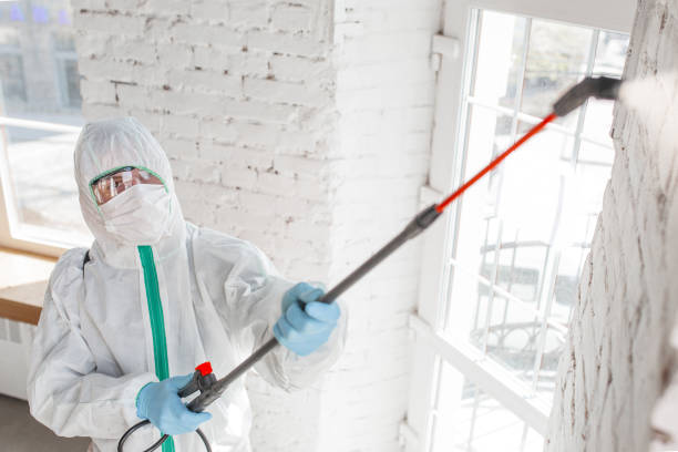 Best HVAC Mold Inspection and Cleaning  in Kannapolis, NC