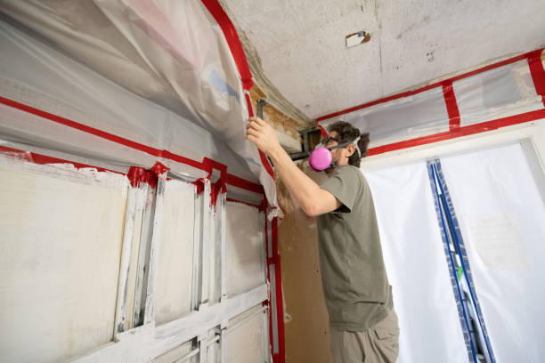 Best Mold Removal for HVAC Installations  in Kannapolis, NC