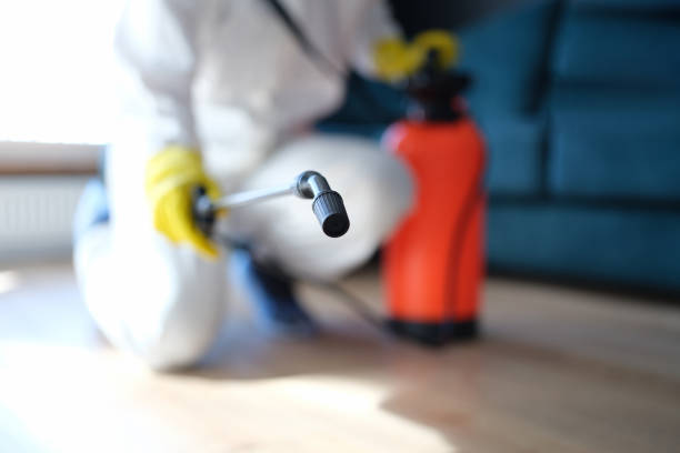 Best Forensic Mold Investigation  in Kannapolis, NC