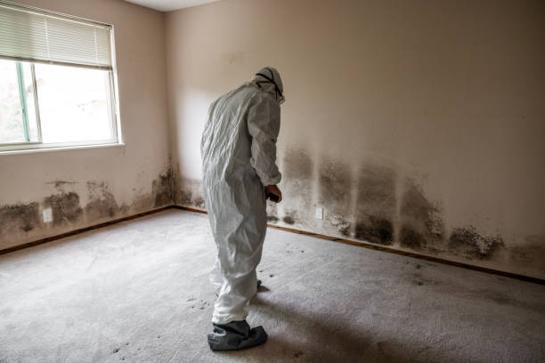 Kannapolis, NC Mold Removal Company
